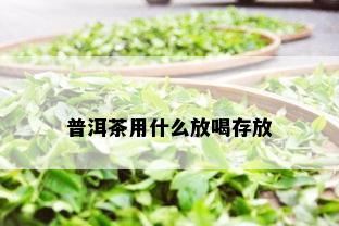 普洱茶用什么放喝存放