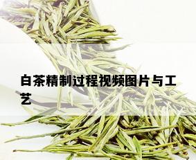 白茶精制过程视频图片与工艺