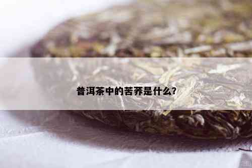 普洱茶中的苦荞是什么？