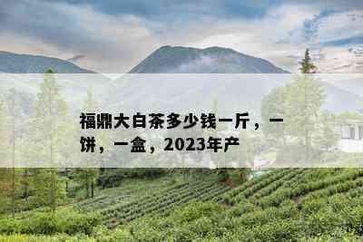 福鼎大白茶多少钱一斤，一饼，一盒，2023年产