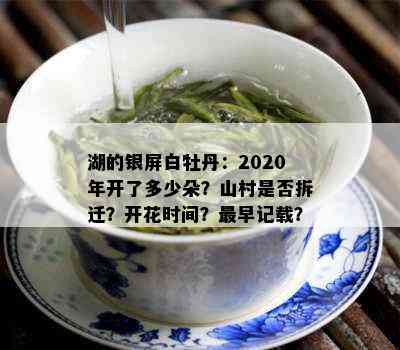 湖的银屏白牡丹：2020年开了多少朵？山村是否拆迁？开花时间？最早记载？