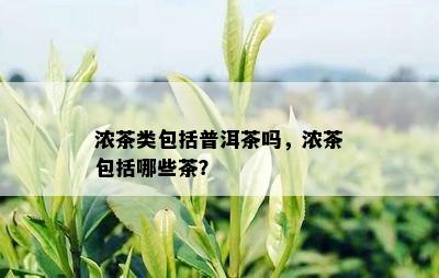 浓茶类包括普洱茶吗，浓茶包括哪些茶？