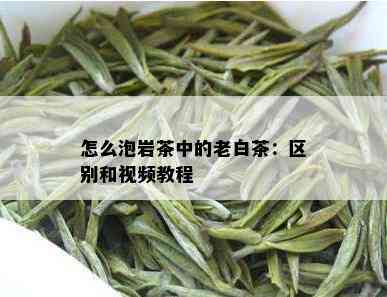 怎么泡岩茶中的老白茶：区别和视频教程