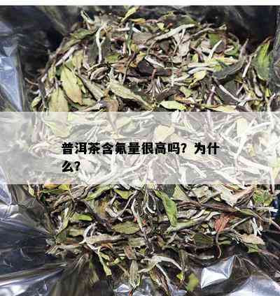 普洱茶含氟量很高吗？为什么？