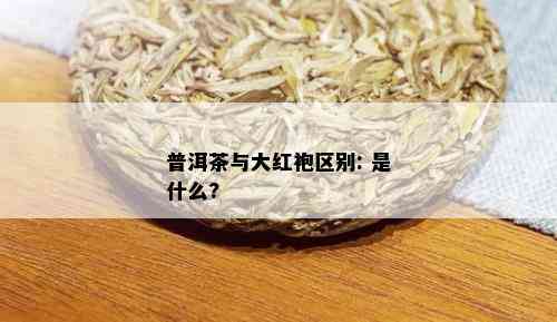 普洱茶与大红袍区别: 是什么?