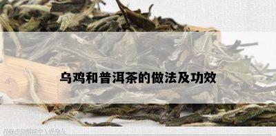 乌鸡和普洱茶的做法及功效