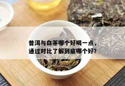 普洱与白茶哪个好喝一点，通过对比了解到底哪个好？