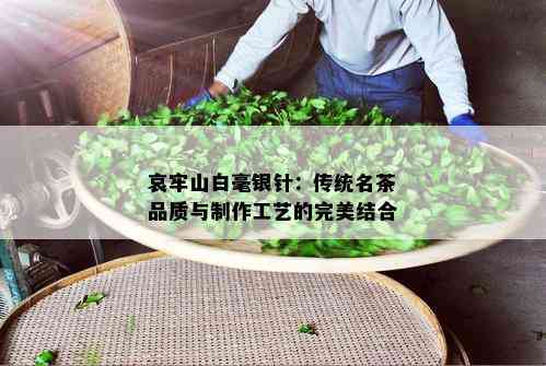 哀牢山白毫银针：传统名茶品质与制作工艺的完美结合