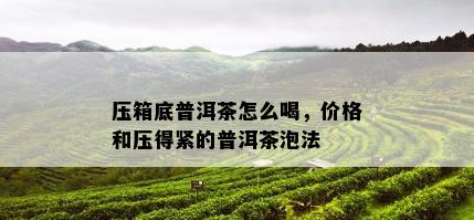 压箱底普洱茶怎么喝，价格和压得紧的普洱茶泡法