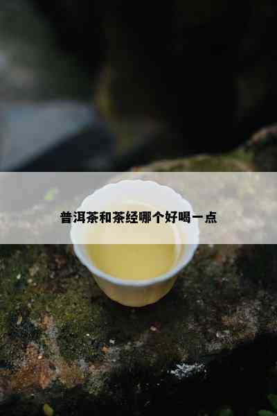 普洱茶和茶经哪个好喝一点