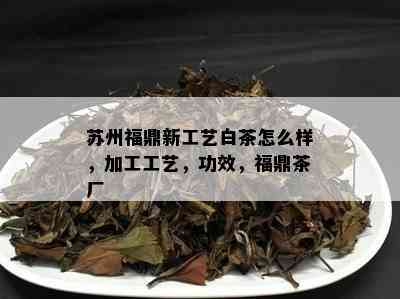 苏州福鼎新工艺白茶怎么样，加工工艺，功效，福鼎茶厂