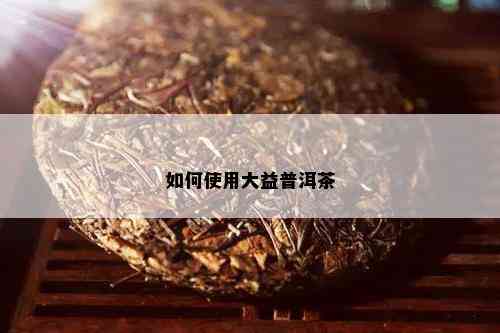 如何使用大益普洱茶