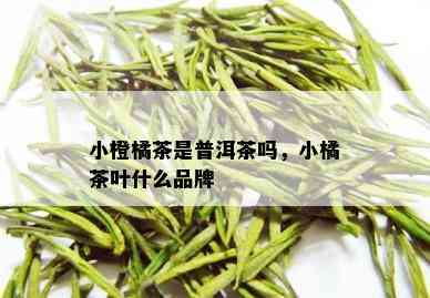 小橙橘茶是普洱茶吗，小橘茶叶什么品牌