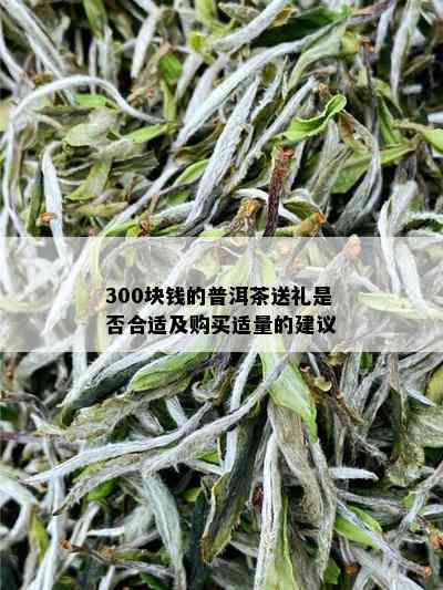 300块钱的普洱茶送礼是否合适及购买适量的建议