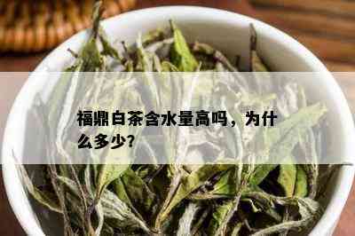 福鼎白茶含水量高吗，为什么多少？