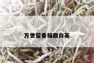 万世留香福鼎白茶