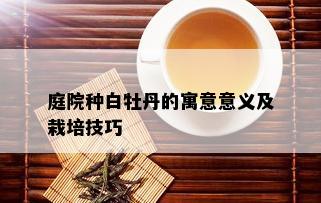 庭院种白牡丹的寓意意义及栽培技巧