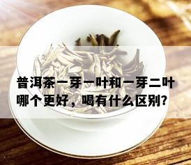 普洱茶一芽一叶和一芽二叶哪个更好，喝有什么区别？