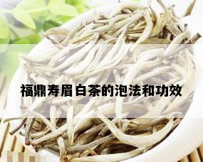 福鼎寿眉白茶的泡法和功效