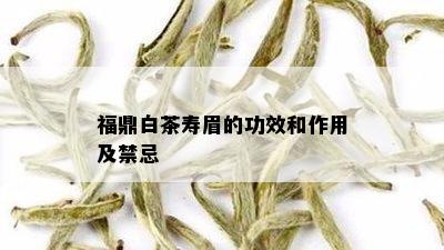 福鼎白茶寿眉的功效和作用及禁忌