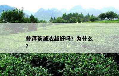 普洱茶越浓越好吗？为什么？