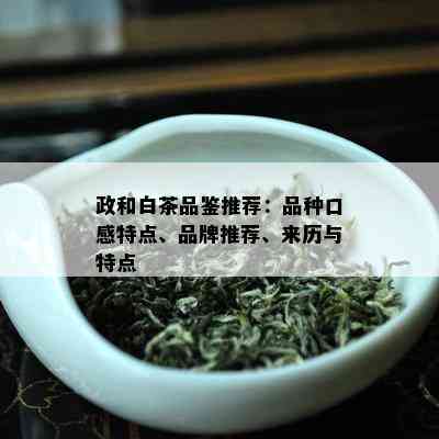 政和白茶品鉴推荐：品种口感特点、品牌推荐、来历与特点