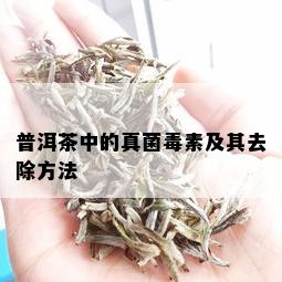 普洱茶中的真菌素及其去除方法