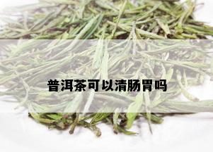 普洱茶可以清肠胃吗