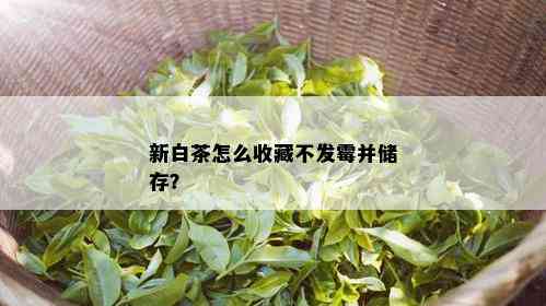 新白茶怎么收藏不发霉并储存？