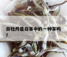 白牡丹是白茶中的一种茶吗？