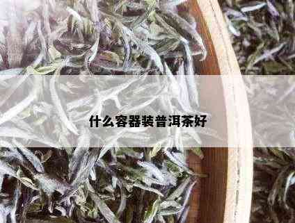 什么容器装普洱茶好