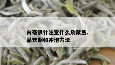 白毫银针注意什么及禁忌、品饮期和冲泡方法