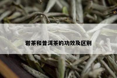 岩茶和普洱茶的功效及区别