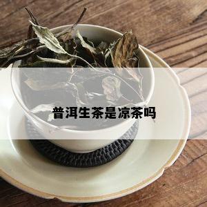 普洱生茶是凉茶吗