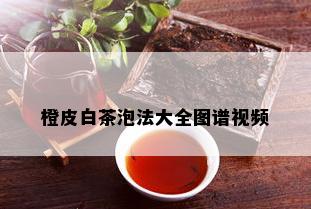 橙皮白茶泡法大全图谱视频