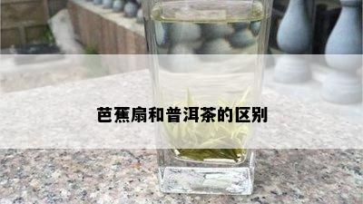 芭蕉扇和普洱茶的区别