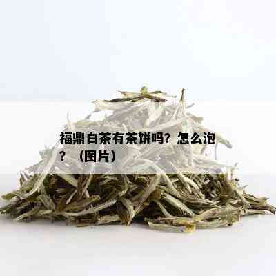 福鼎白茶有茶饼吗？怎么泡？（图片）