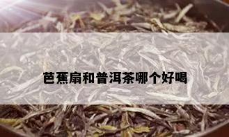 芭蕉扇和普洱茶哪个好喝