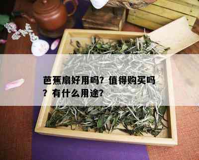 芭蕉扇好用吗？值得购买吗？有什么用途？