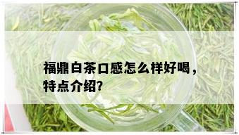 福鼎白茶口感怎么样好喝，特点介绍？