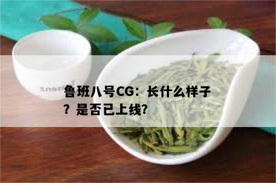 鲁班八号CG：长什么样子？是否已上线？