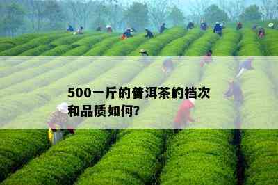 500一斤的普洱茶的档次和品质如何？