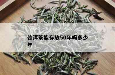 普洱茶能存放50年吗多少年