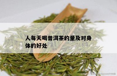 人每天喝普洱茶的量及对身体的好处