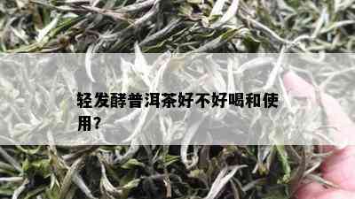 轻发酵普洱茶好不好喝和使用？