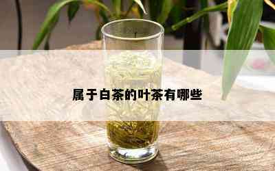 属于白茶的叶茶有哪些