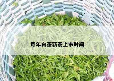 每年白茶新茶上市时间