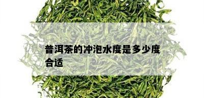 普洱茶的冲泡水度是多少度合适