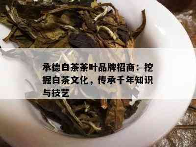 承德白茶茶叶品牌招商：挖掘白茶文化，传承千年知识与技艺