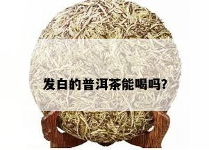 发白的普洱茶能喝吗？